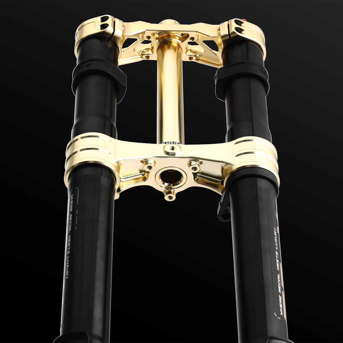 RFloXa Hawk31 Max (Gold)-4
