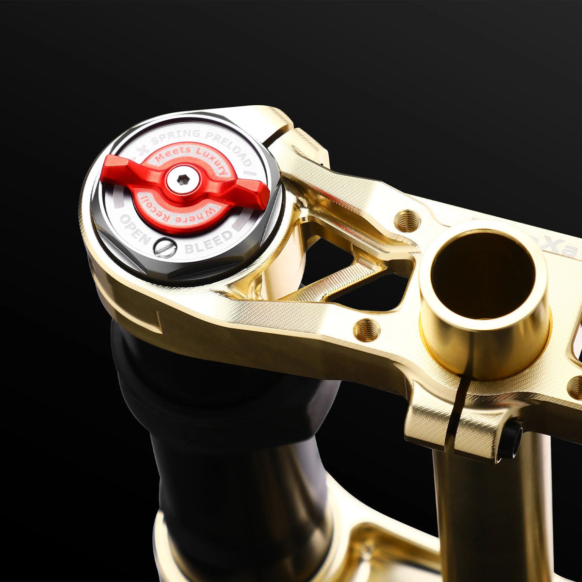 RFloXa Hawk31 Max (Gold)-5