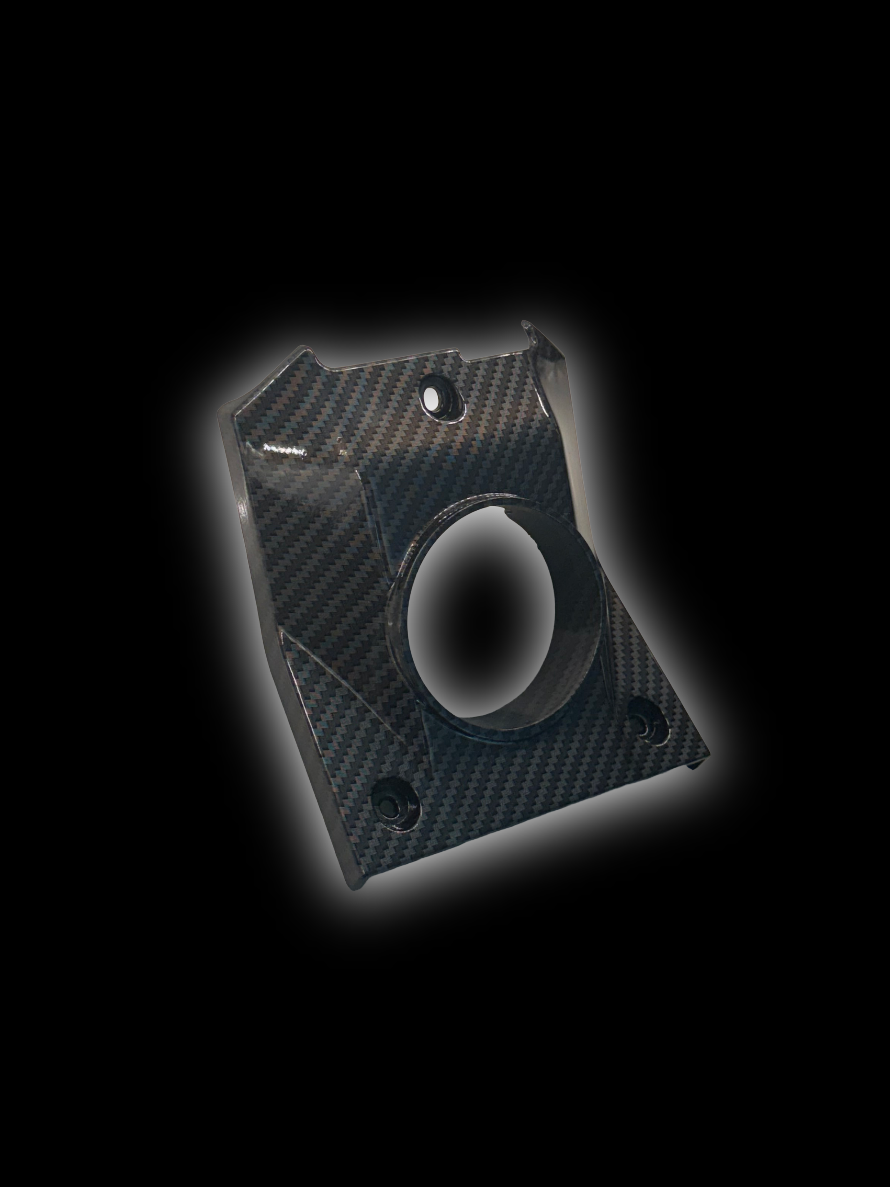 Talaria xxx Imitation Carbon Fiber Horn Cover-1
