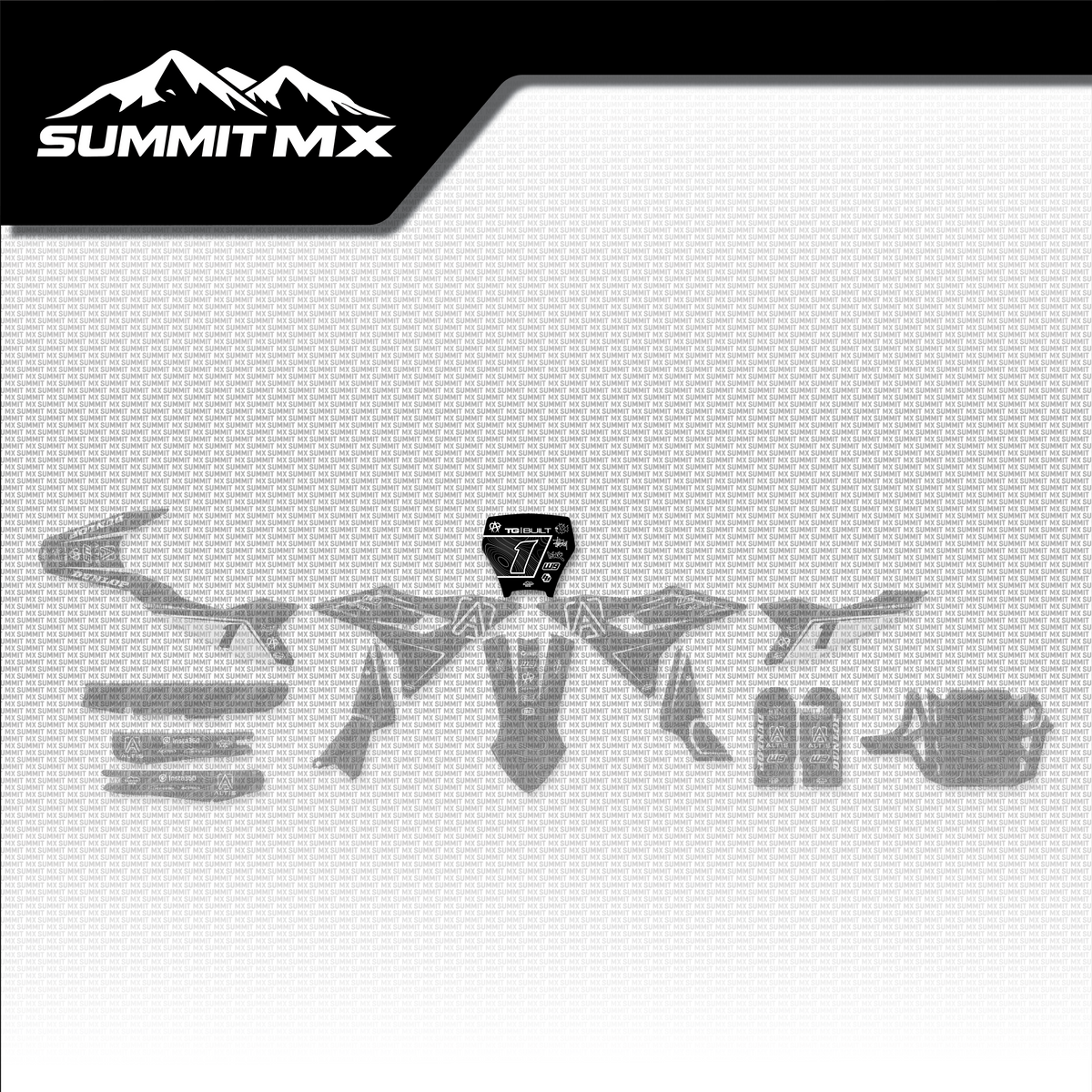 Switchback Decal for Altis Delta Number Plate-3